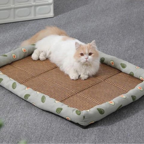 Tapis rafraichissant chat | FéliFrais™ - Miss - Tigri