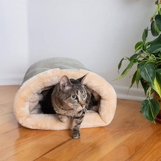 zoom chat lit pour chat plumou